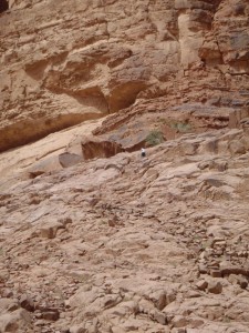 Wadi Rum Climbing